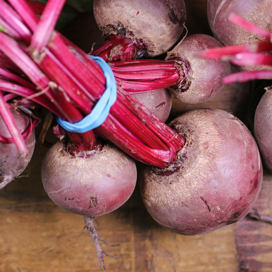 How to Grow Beetroot in the UK - GrowPatch