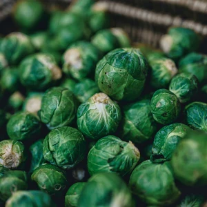 Brussels Sprouts Growing Guide