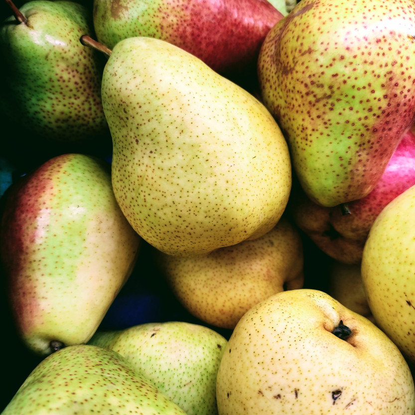 Cultivating Pears in UK - GrowPatch