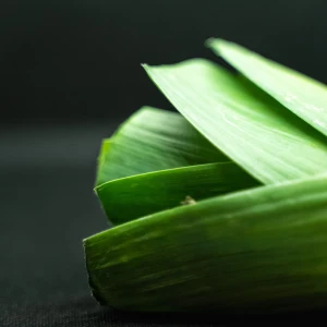 Leeks Growing Guide