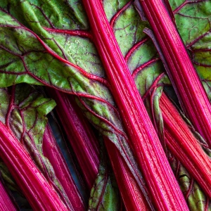 Rhubarb Growing Guide