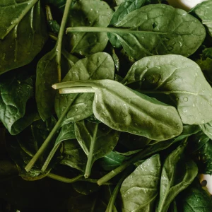 Spinach Growing Guide