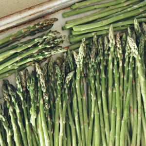 Asparagus Growing Guide