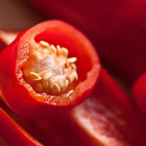 Chillies Growing Guide