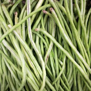 French Beans Growing Guide