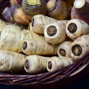 Parsnips Growing Guide