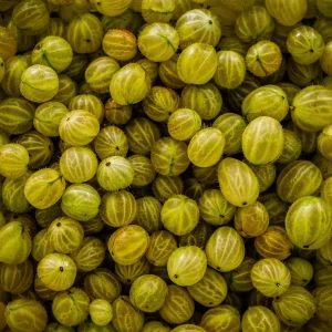 Gooseberry Growing Guide